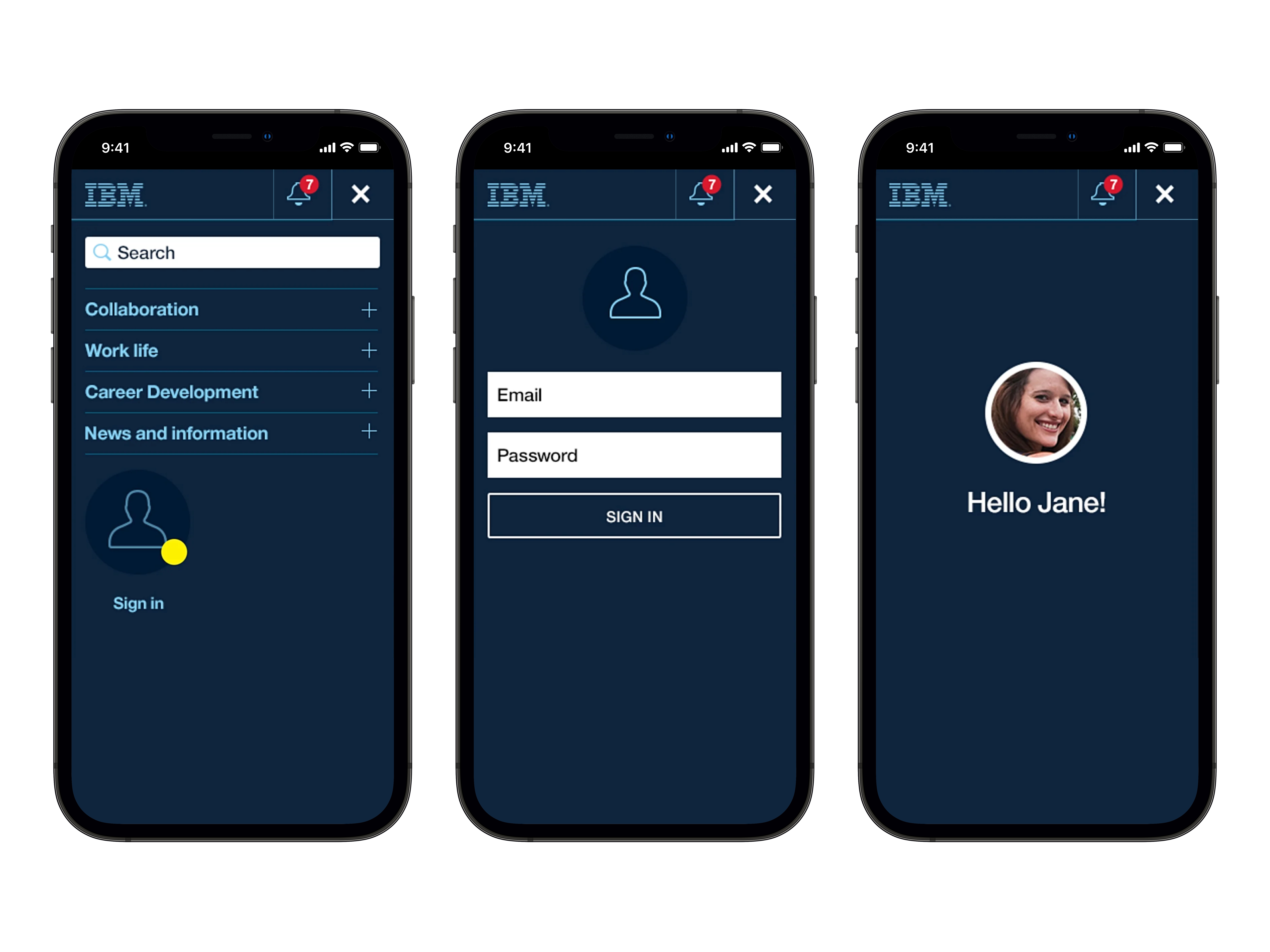 IBM Navigation Flow Two